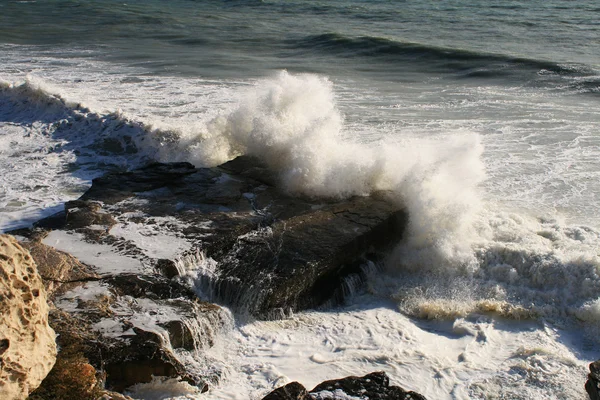 Meereswelle bricht auf einem Felsen. — Stockfoto