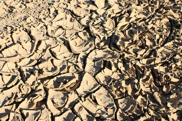 Drought. — Stock Photo, Image