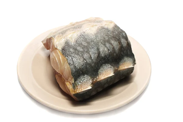 고기 생선 철갑 상어. — 스톡 사진