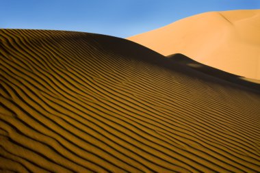 Sand Dune clipart