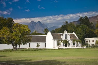 Stellenbosch clipart