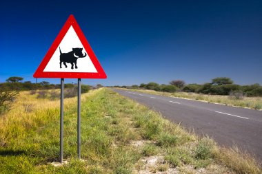 warthogs için dikkatli olun