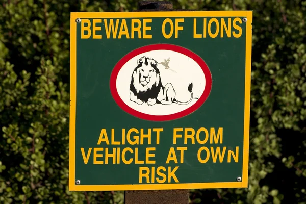 Attenzione ai leoni — Foto Stock