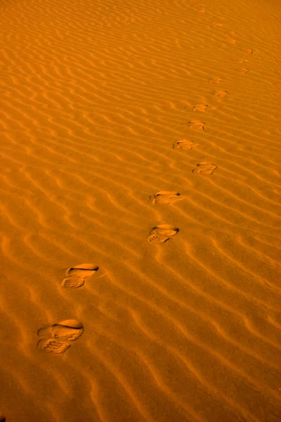 Footsteps in the sand — Stock Photo, Image