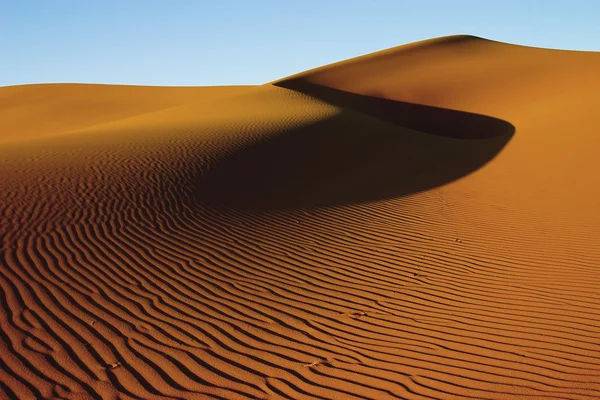 Golden sand dune — Stock Photo, Image