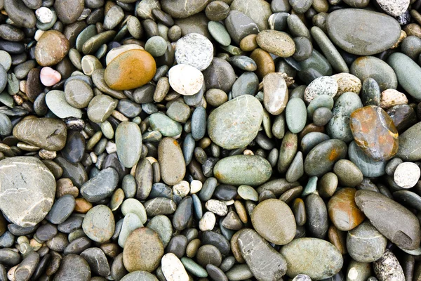 Pebble beach — Stock Photo, Image