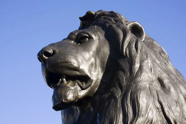 Trafalgar Lion — Stock Photo, Image