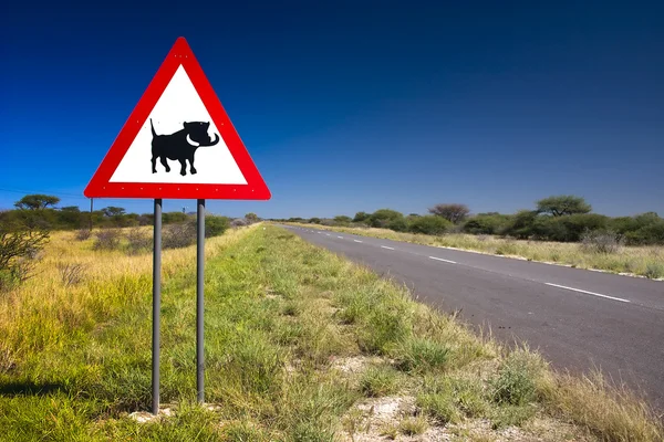 Warthogs için dikkatli olun — Stok fotoğraf