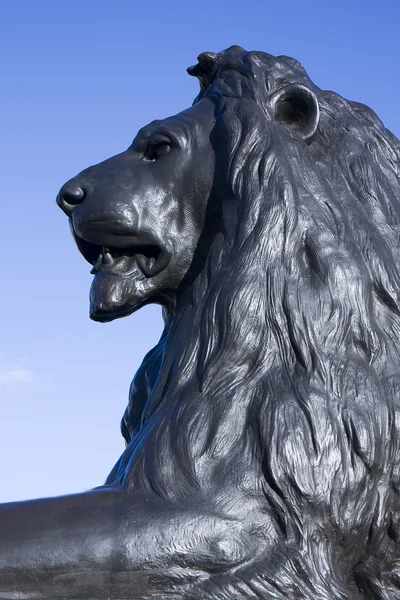 Lion of Trafalgar — Stock Photo, Image
