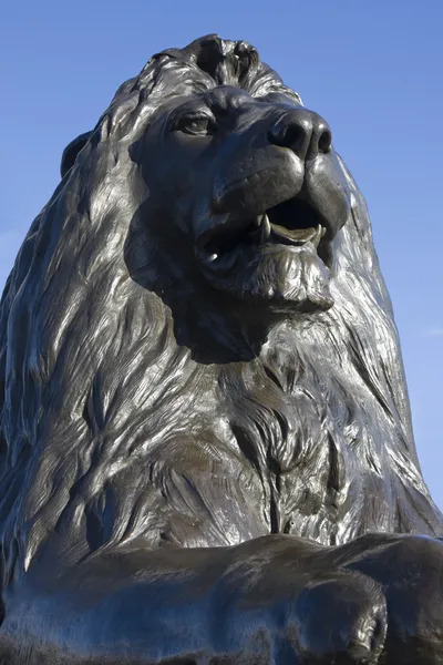 Trafalgar lion front on — Stock Photo, Image