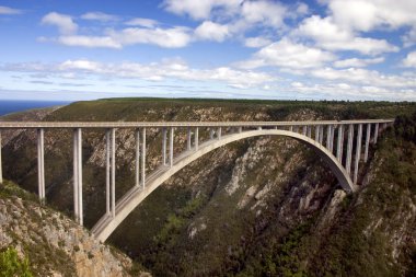 Bloukrans River Bridge clipart