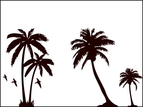 Arrière-plan palmier ! Images De Stock Libres De Droits