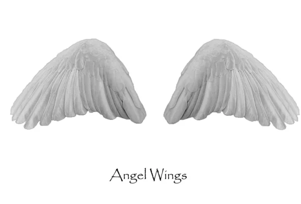 Asas de anjo — Fotografia de Stock