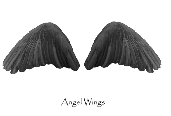 Engel vleugels Stockafbeelding