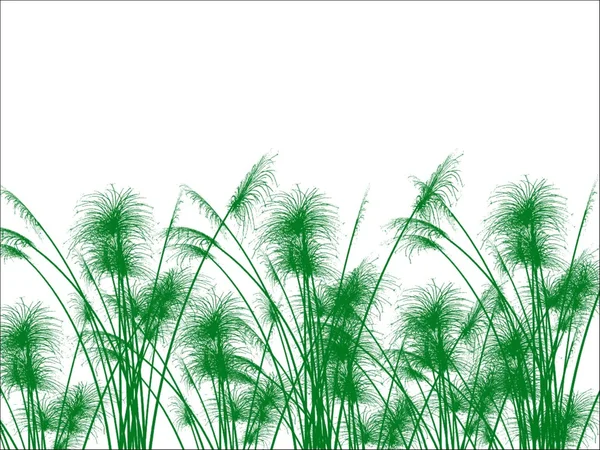 stock image Grass background