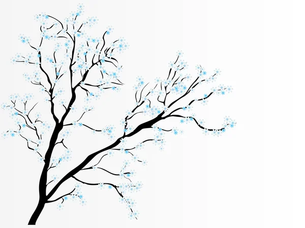 White dahlia on dried coral tree — Stok Vektör