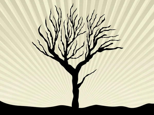 Silueta del vector de un árbol — Archivo Imágenes Vectoriales