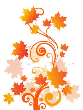 Autumn tree branch, illustration clipart