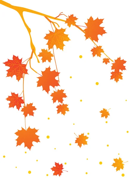 Sonbahar ağaç dalı, illüstrasyon — Stok Vektör