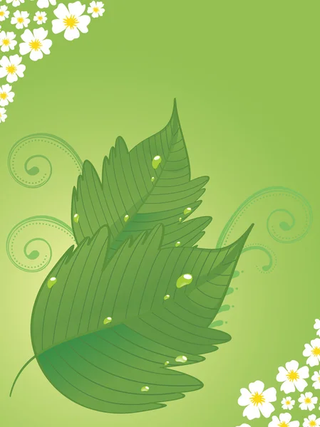 Branche d'arbre d'automne, illustration — Image vectorielle