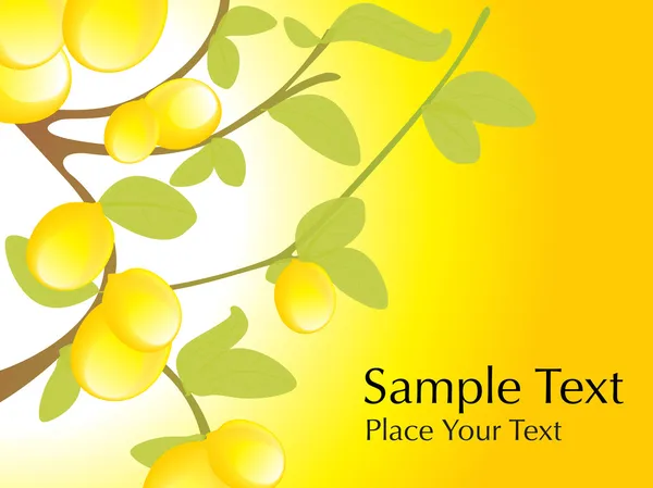 Lemon tree with lemon, vector — Stock Vector
