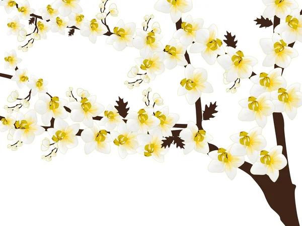 Ramos de árvores com flores brancas — Vetor de Stock