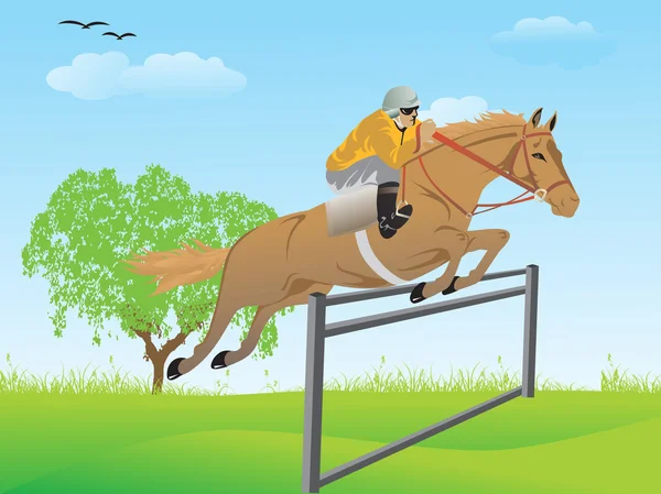Pferd überquert Schranke mit Reiter — Stockvektor