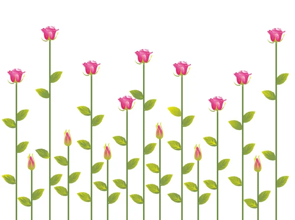Ilustrace, květinový vzorek pozadí — Stockový vektor