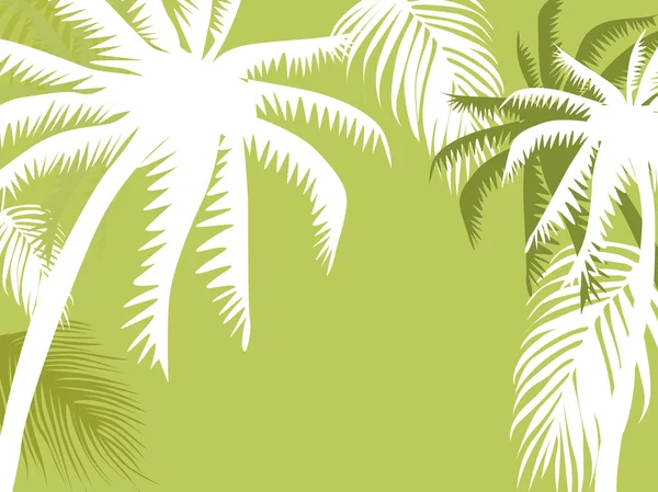 Palm boom illustratie — Stockvector