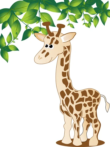 Illustration vectorielle de girafe Safari — Image vectorielle