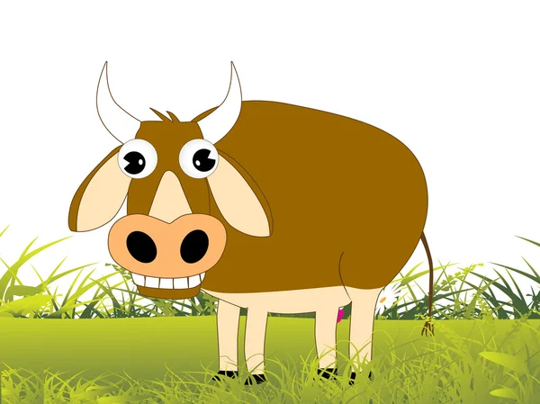 Koe op groene tuin — Stockvector