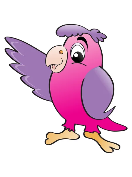 Piękny kolor papuga — Wektor stockowy