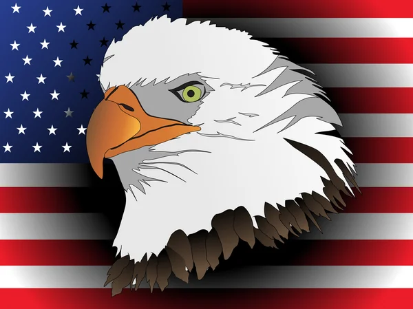 Amerikaanse adelaars hoofd met vlag — Stockvector