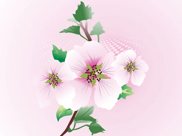 Achtergrond met bloemen behang — Stockvector