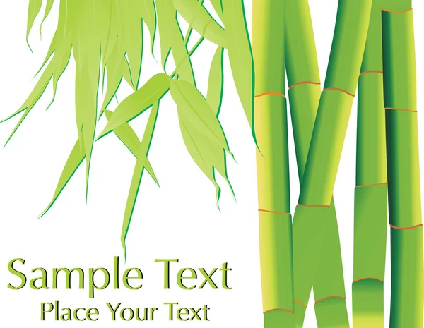 Háttér bambuszból — Stock Vector