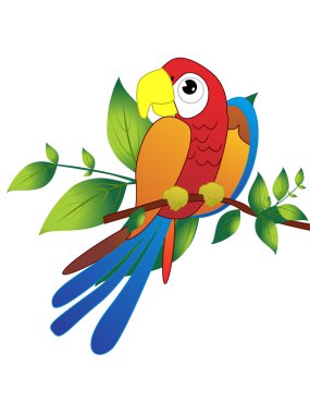 Parrot on branch illustration clipart