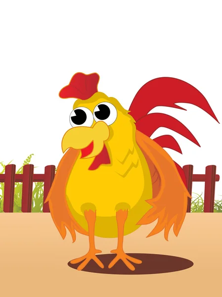 Vector ilustración de polla — Archivo Imágenes Vectoriales