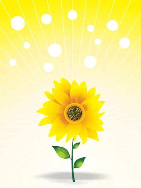 Krásné slunečnice a mlha — Stockový vektor