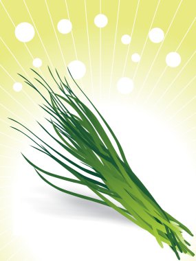 Bunch of chives illustration clipart