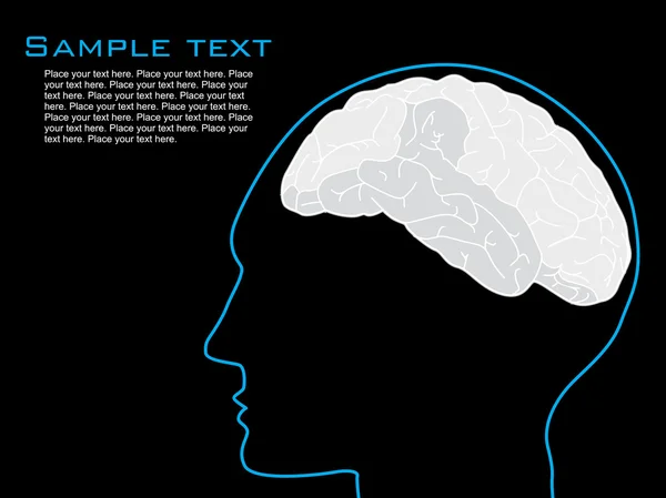 Human brain illustration — Stock Vector