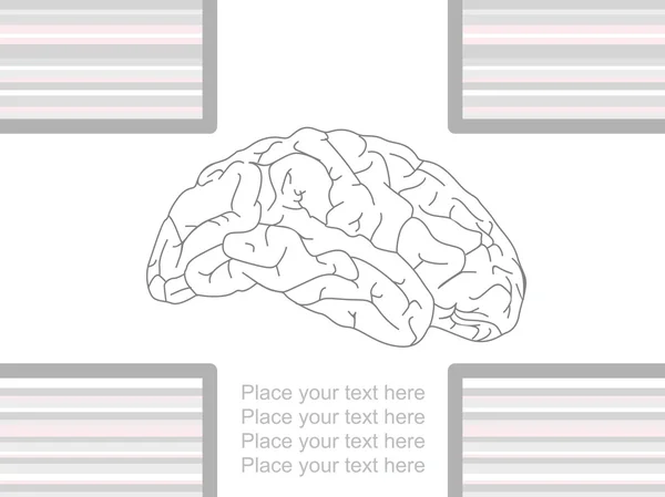 Hintergrund mit Gehirn — Stockvektor