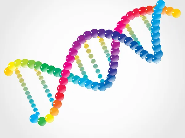 Спіраль ДНК, ізольована на білому — стоковий вектор