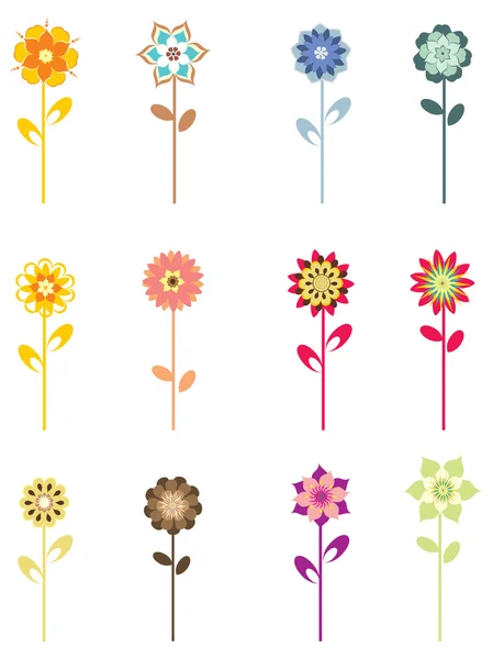 Fleurs colorées sur fond blanc — Image vectorielle