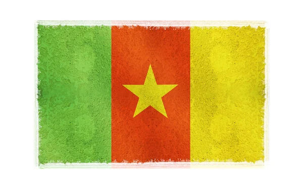 Drapeau du Cameroun sur fond — Photo