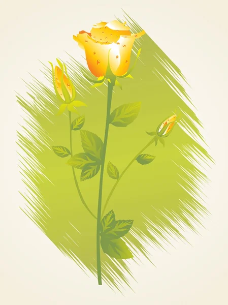 고립 된 노란 장미 그림 — 스톡 벡터