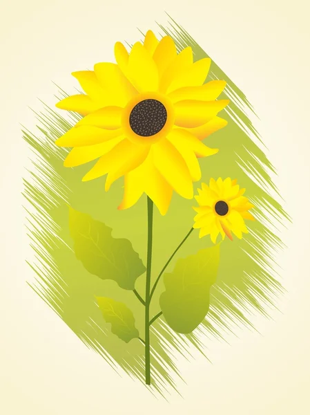 Vektor terisolasi bunga matahari - Stok Vektor