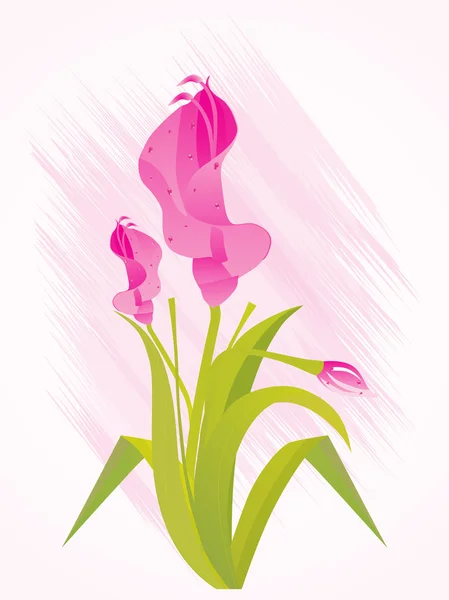 Fond avec fleur isolée — Image vectorielle