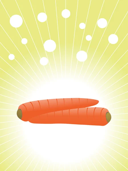 Fresh carrots vector illustration — Stock Vector
