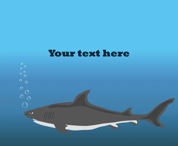 Sfondo con squalo — Vettoriale Stock