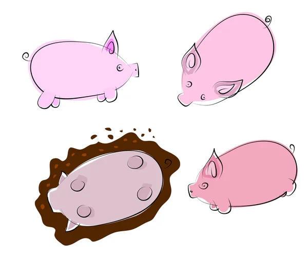 stock vector Vector pig